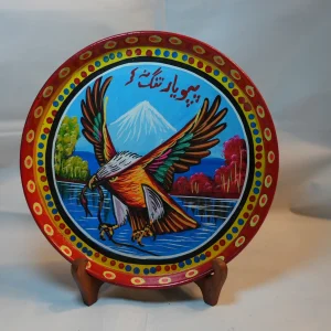 Round Plate/ Wall Hanging (Decoration )