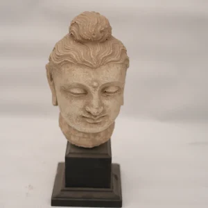 Buddha Head
